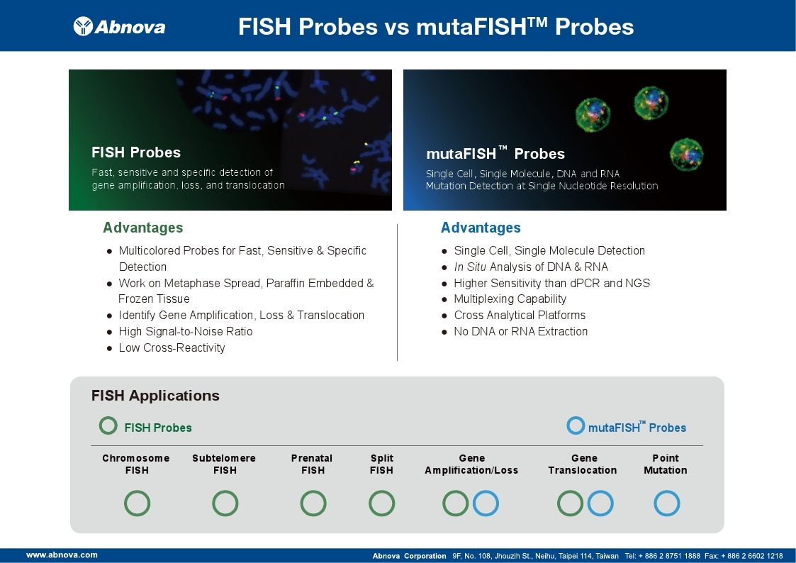 FISH_probes_vs_mutaFISH_probes.jpg